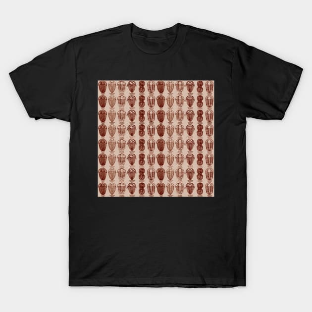 Trilobite Species Pattern T-Shirt by PurpleMoose